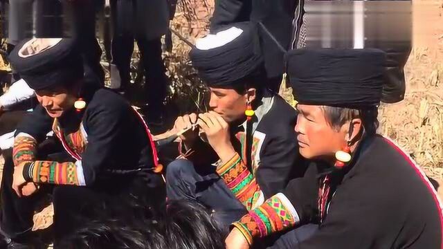 彝族好听的马布乐器演奏民族的才是世界的