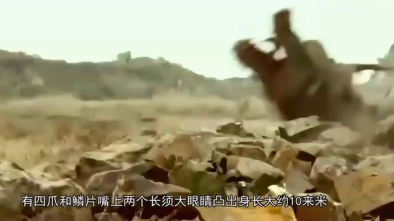 世界上是否真有龙存在？来看看这个真实的事件_高清1080P在线观看平台_腾讯视频