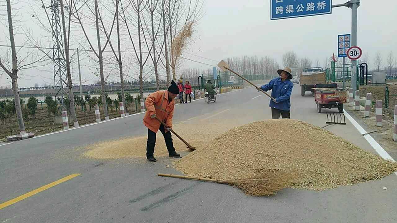 家乡丨冬季村民扬麦子,嗖嗖的_高清1080P在线观看平台_腾讯视频