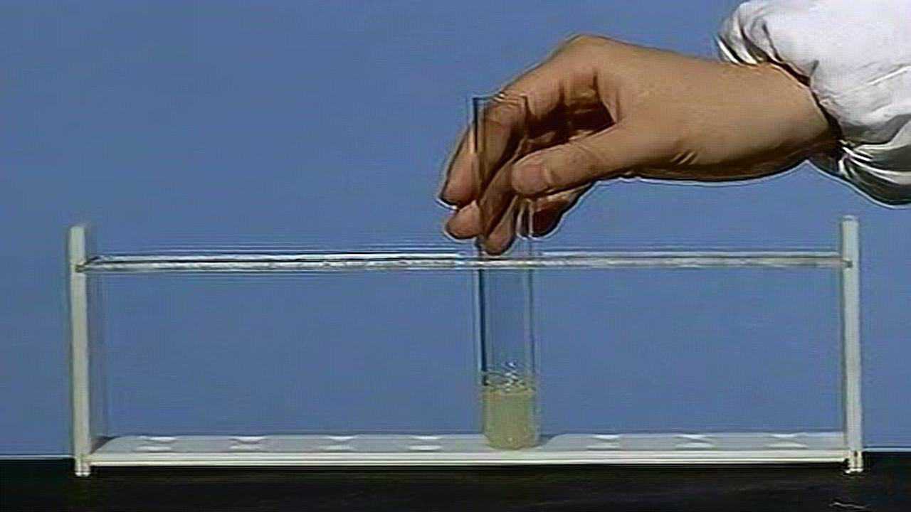 实验视频-蛋白质的盐析_高清1080P在线观看平台_腾讯视频
