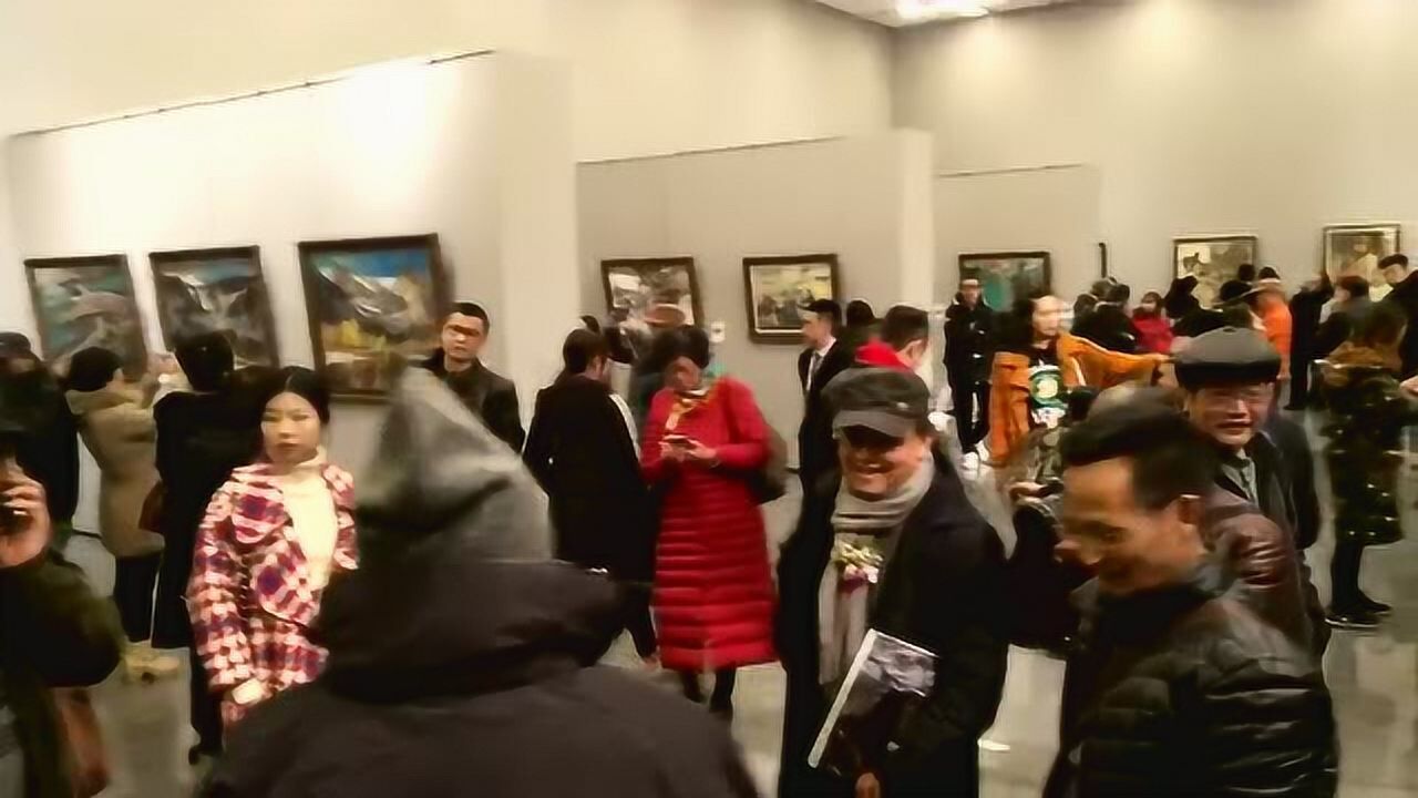 罗晓平个展视频