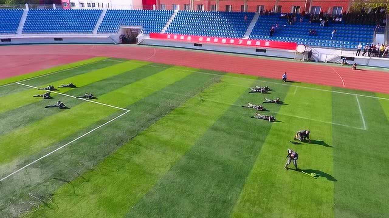 高清1080P在线观看平台_腾讯视频