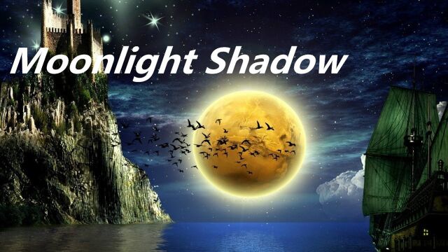 天籁女声 经典英文歌《moonlight shadow》