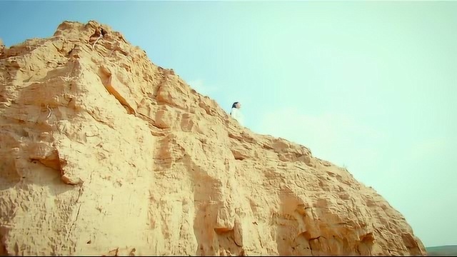 白晶晶带上菩提老祖跳崖殉情