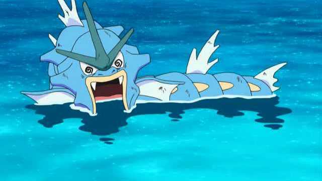 神奇宝贝小霞的暴鲤龙超进化了小智的皮卡丘还能是对手吗