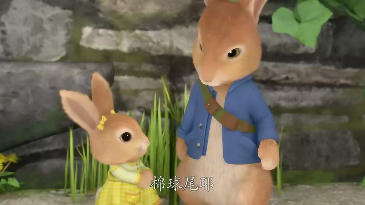 比得兔给小棉球尾分配了一个小任务小棉球尾顺利完成棒