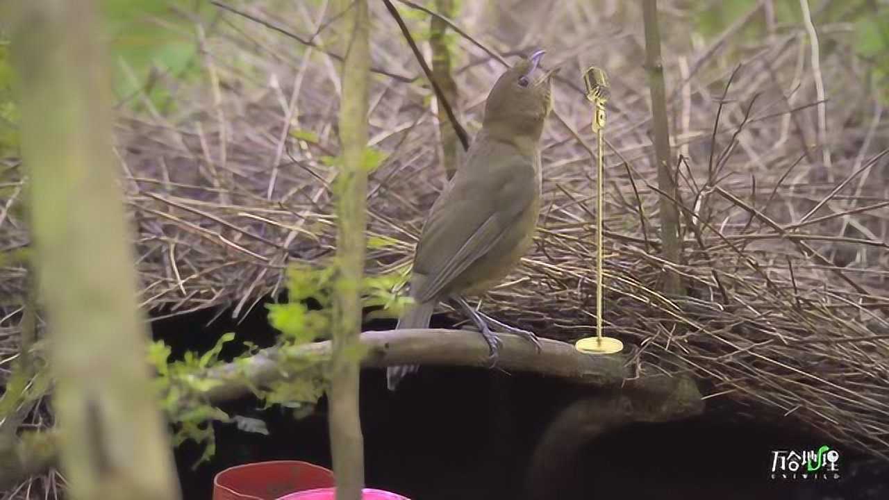 万合地理的个人频道