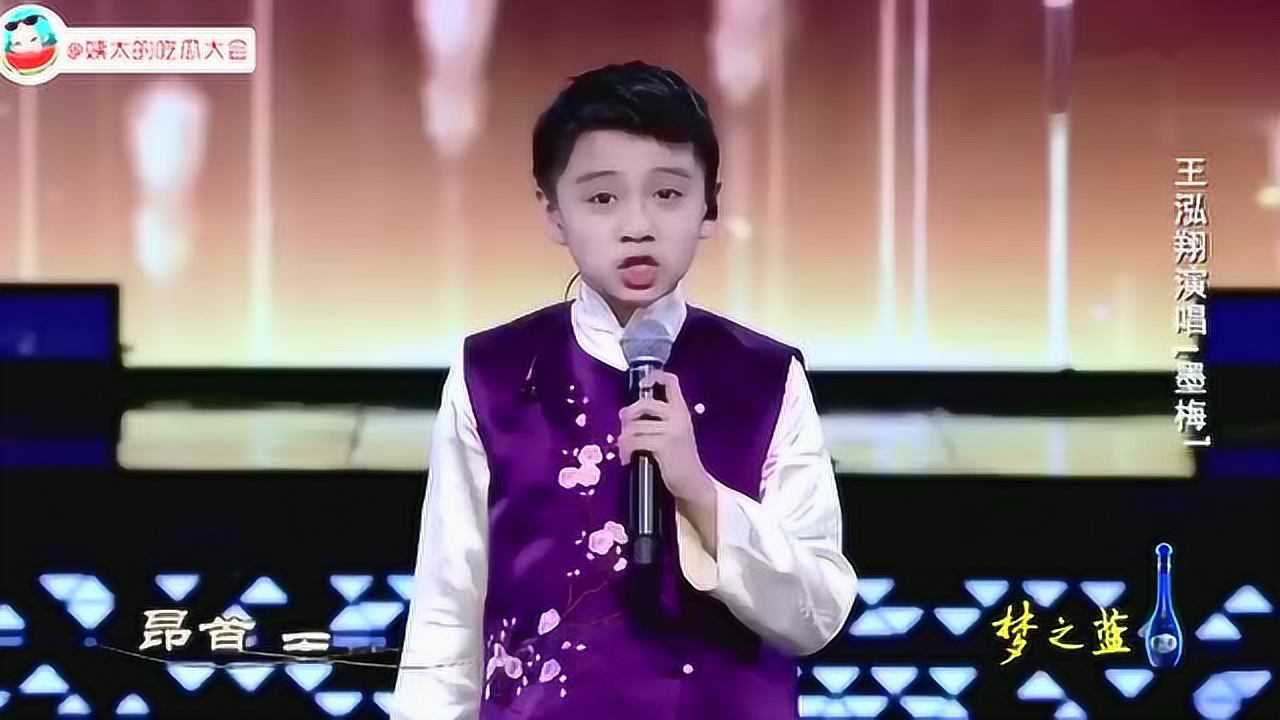 王泓翔空灵演唱墨梅梨花颂合集太惊艳了