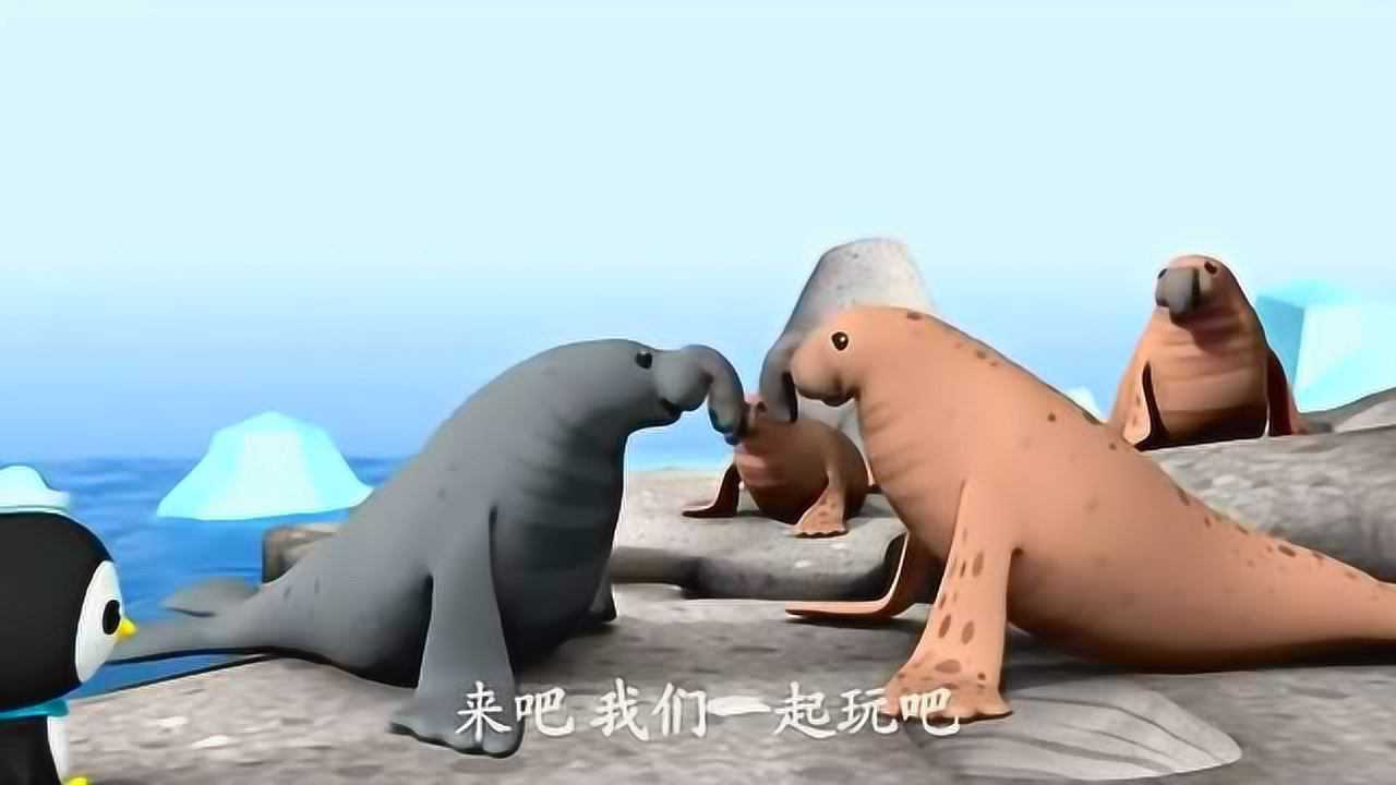 象海豹族群庆祝的方式让海底小纵队吃不消