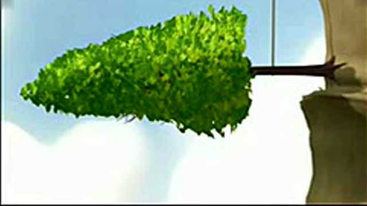 【励志视频】奥斯卡最佳励志短片实现梦想_高清