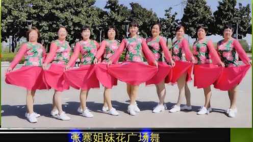 张寨姐妹花广场舞《与爱共舞》动感欢快的健身舞1