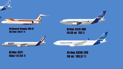 飞机大小对比