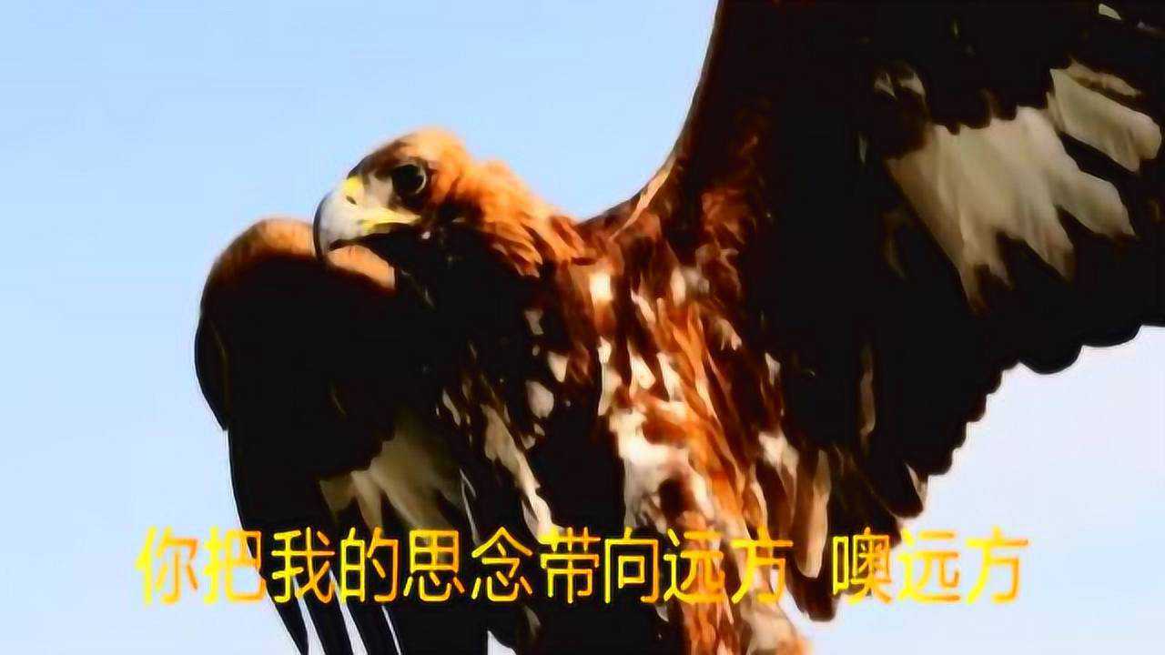 Thumbplayer Poster Plugin Image