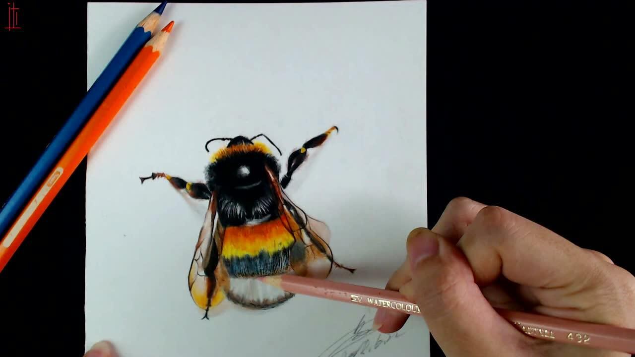 艺达的个人频道