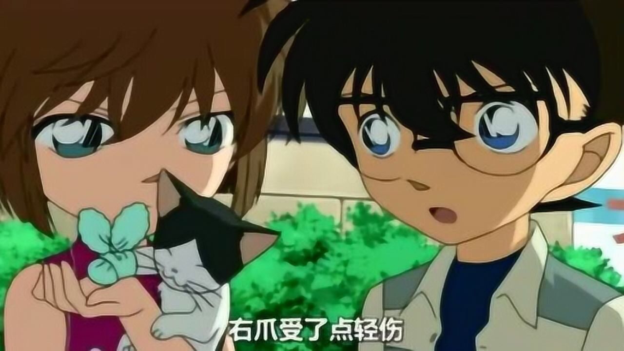 灰原光脚踩在柯南头上太羡慕柯南了