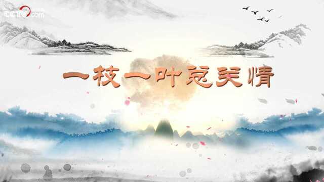 习近平总书记用典微视频丨一枝一叶总关情