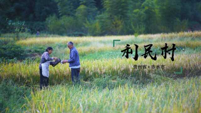 饱饱盒子 贵州山里拍“广告”,第18村——赤水市利民村