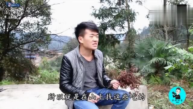 Abao推荐的红豆杉树苗盆栽