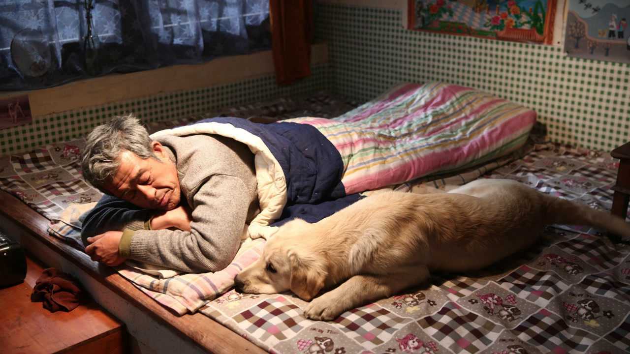 四分钟看完感人电影《忠爱无言》