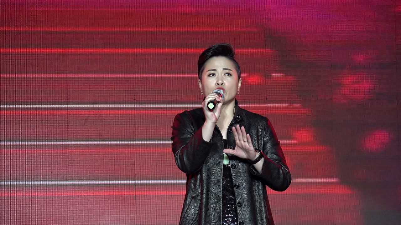 静海区歌手刘坤演出高清版  皇家气派婚礼录制