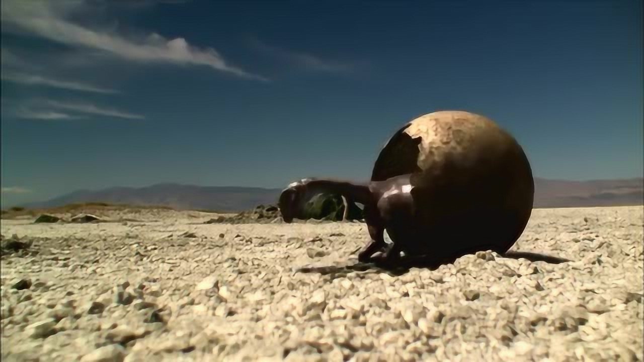 恐龙下蛋全过程直到小恐龙诞生神奇的生命之旅