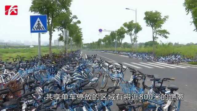 惊呆!“伤残”共享单车扎堆,“霸占”人行道近800米长!