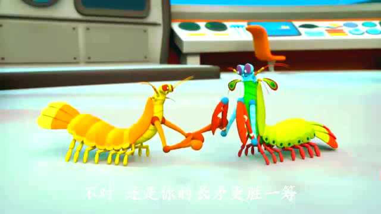 海底小纵队第四季螳螂虾互相道歉他们真的和好了吗