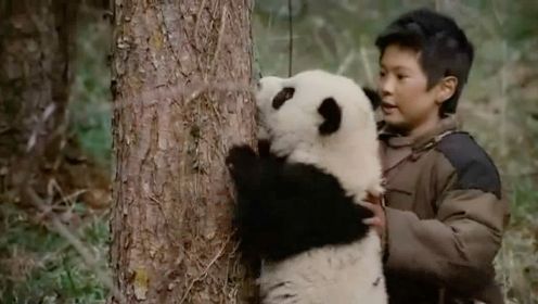 小男孩救了一只小熊猫，不但与它成了朋友，还送它回到妈妈身边