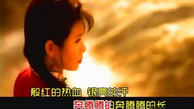 董文华演唱歌曲《黄河黄》,歌声嘹亮,气势磅礴