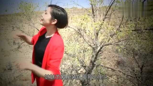 陕北酸曲《最炫信天游》又酸又好听!