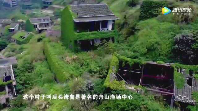 浙江后头湾村:舟山渔场中心的鬼村,却美的像童话!