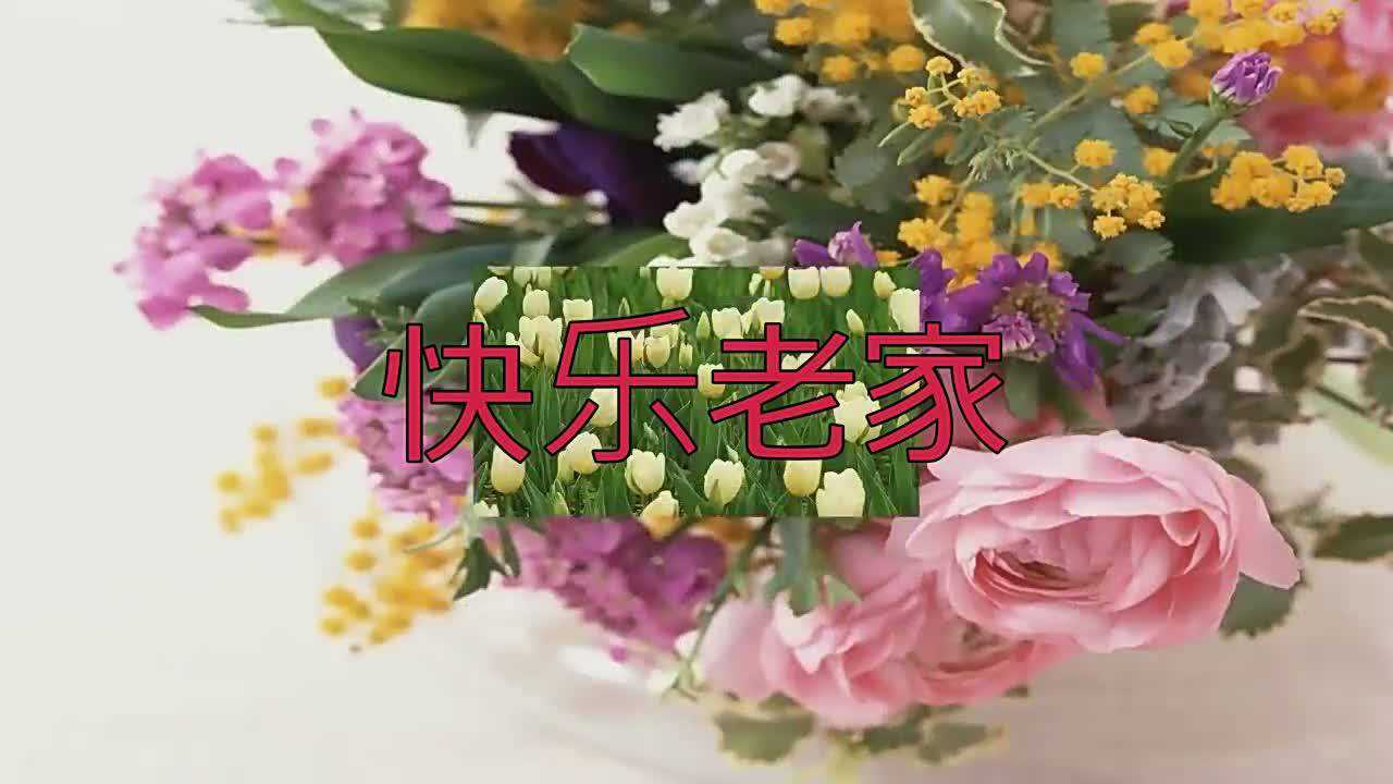 《快乐老家》被陈明演唱的这么动听，歌词写的太好了