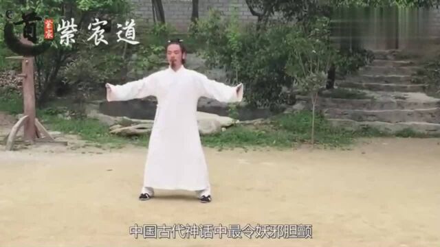 紫宸道:这才是真正的武当功夫, 陈师宇玄武拳, 刚柔相济后发先制