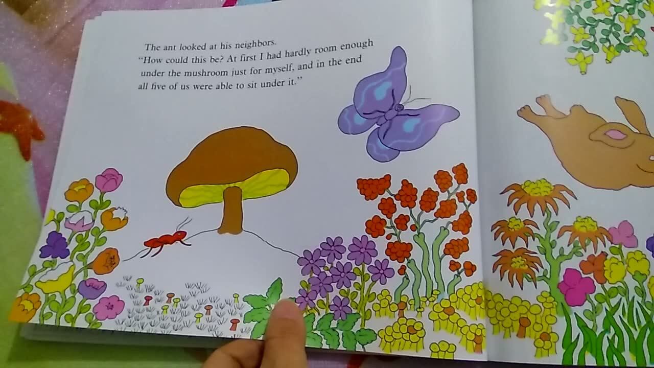 mushroom in the rain