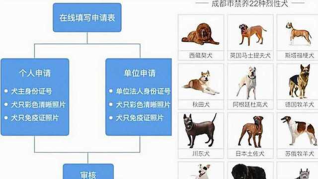 成都16日起收容处置禁养犬:22种烈性、大型犬禁养