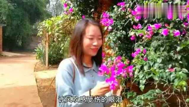 《梦的翅膀受了伤》,爱得太累,心受伤