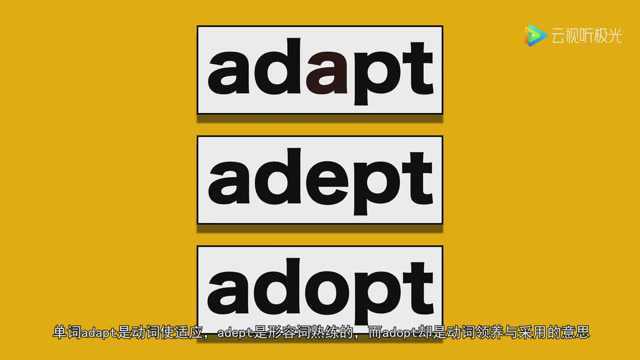 adapt、adept、adopt还在傻傻分不清一期节目告诉你!