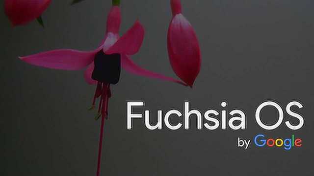 谷歌全新系统 Fuchsia OS!华为、荣耀已开启测试!