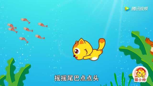 第529集:小鱼游游游