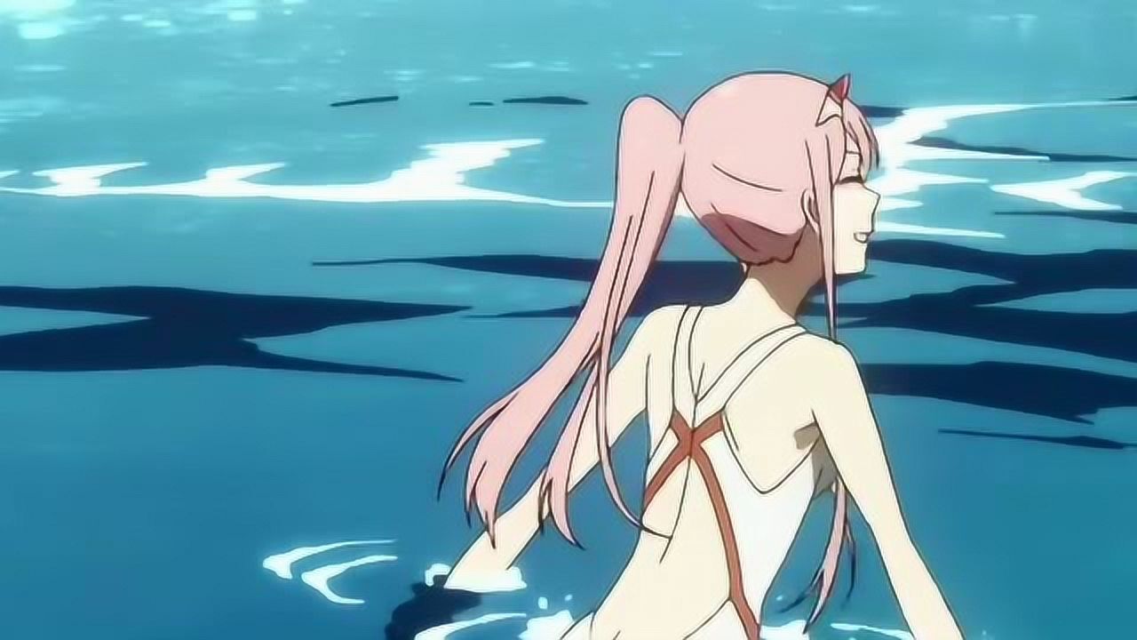 国家队:达令 darling in the frankxx