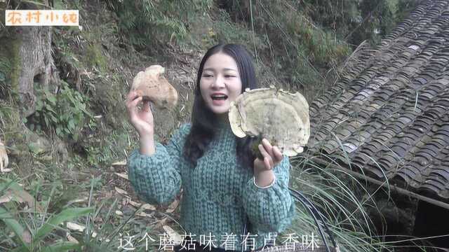 农村姑娘在山上采蘑菇,这么大的蘑菇你们见过吗?