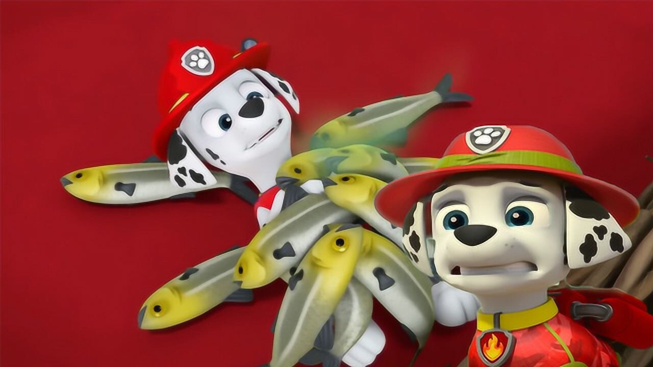 狗狗巡逻队 毛毛喜欢很多鱼压着自己 汪汪队立大功