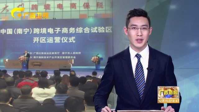 中国南宁跨境电子商务综合试验区开区运营