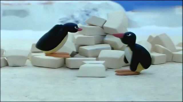 企鹅家族:pingu跟朋友为了砖头竟然吵起来了