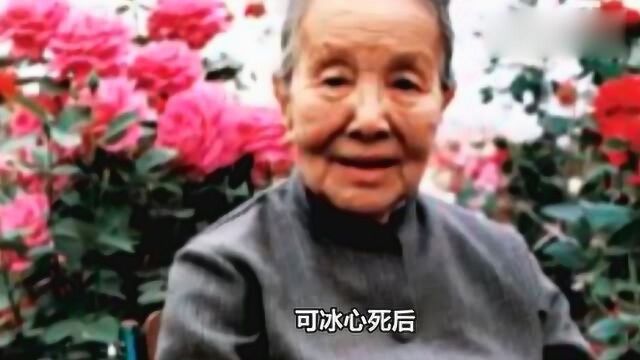 冰心99岁逝世,去世后的10几年,亲孙子在墓碑刻上8个字“辱骂”她!