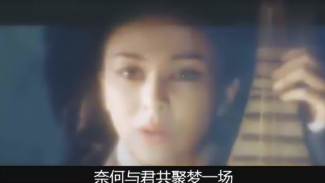 一首很经典的音乐「伊人红妆玫子」奈何与君共聚梦一场