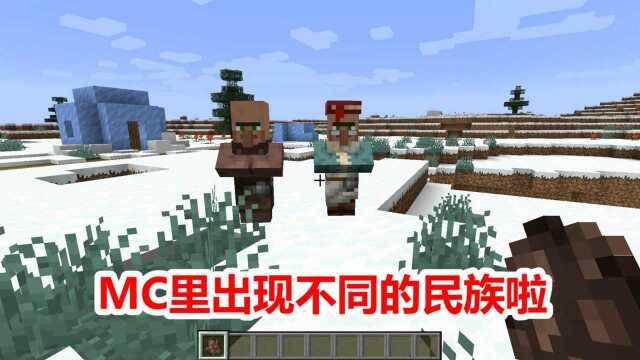 我的世界:MC也分部落了,看看你属于哪一种