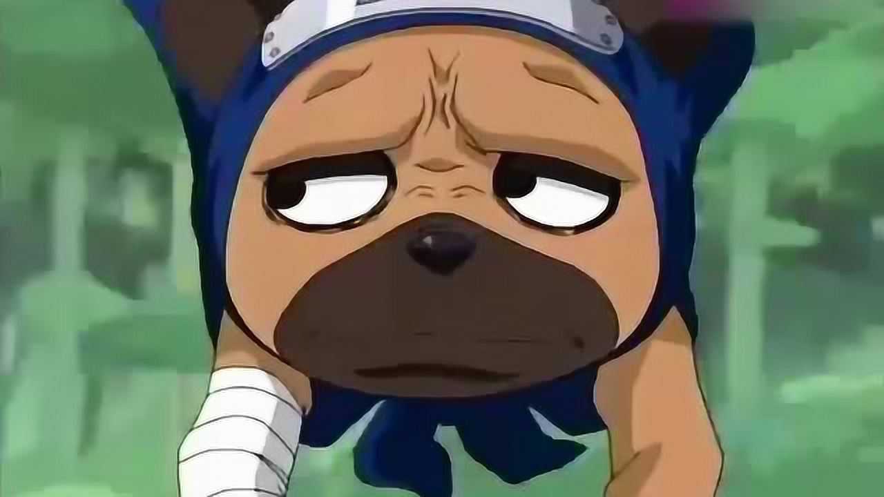 火影忍者帕克闻到了其他气味告诉鸣人小樱后他们都吓蒙了