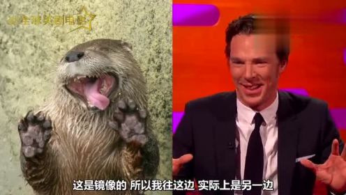 《神探夏洛克》男主角 Benedict Cumberbatch