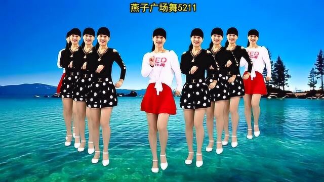 燕子广场舞《流行歌曲》演唱:网络歌手 简单32步 好听好看又好学